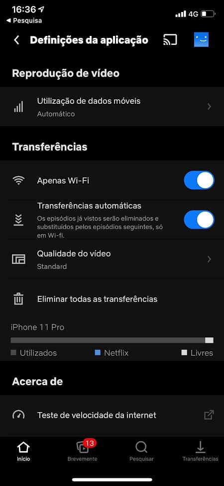 Netflix limite downloads